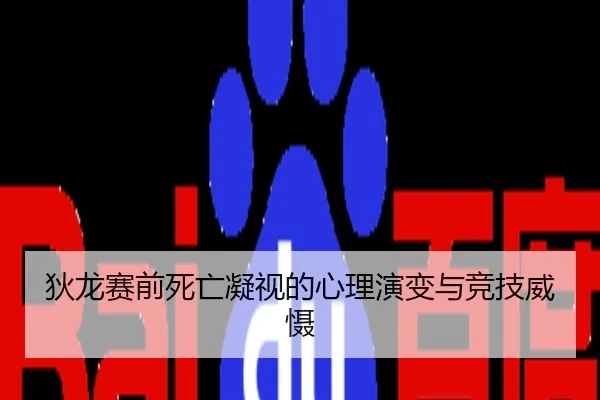 狄龙赛前死亡凝视的心理演变与竞技威慑